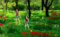 /album/limitovane-kolekcie/fond-ecran-nature-printemps-jpg/